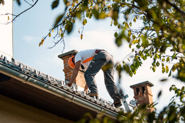 Best Roof Ventilation Installation  in Potterville, MI