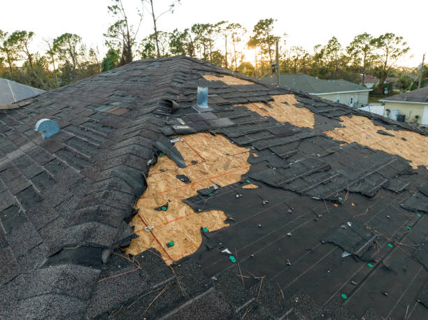 Best Cold Roofs  in Potterville, MI
