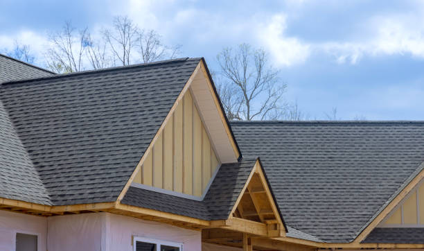 Best Flat Roofing  in Potterville, MI