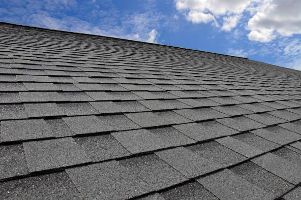 Best Roofing for New Construction  in Potterville, MI